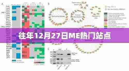 往年12月27日ME热门站点概览