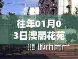 澳丽花苑自由行，热门攻略揭秘