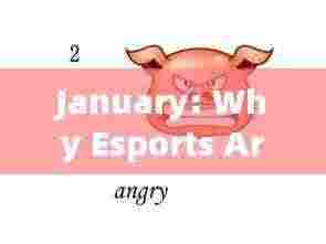 一月揭秘，电竞魅力何在？