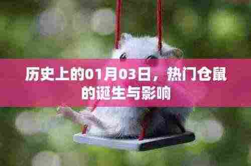 热门仓鼠的诞生与影响，历史回顾与影响分析