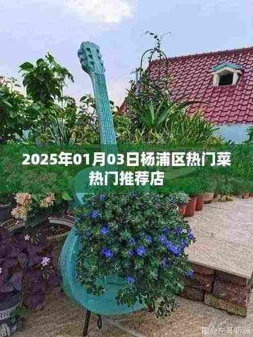 杨浦区美食推荐，2025年热门菜餐厅榜单