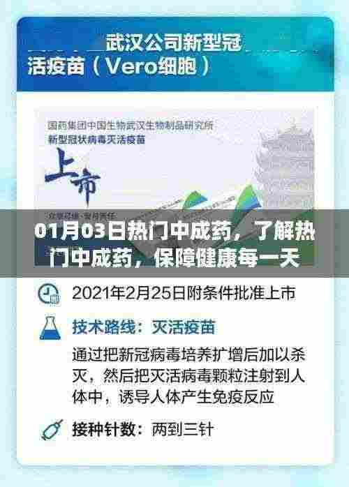 热门中成药概览，每日健康有保障