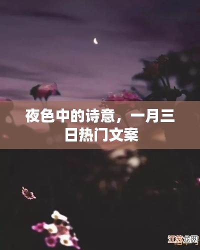 一月三日夜色诗意文案欣赏