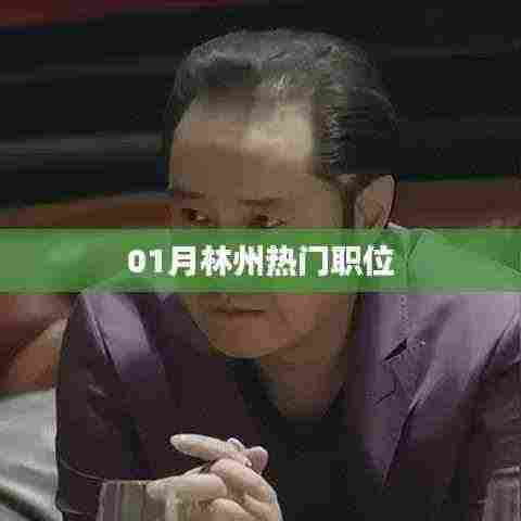 林州一月份热门职位推荐