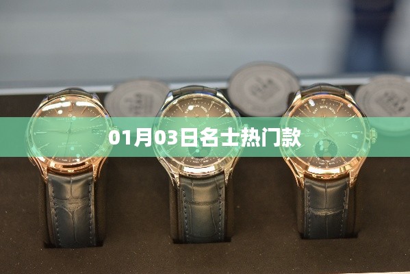 01月03日名士热门款式一览