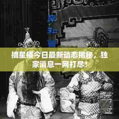 摘星楼今日最新动态揭秘，独家消息一网打尽！