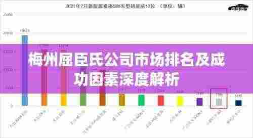 梅州屈臣氏公司市场排名及成功因素深度解析