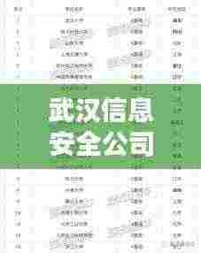 武汉信息安全公司排名大揭秘，权威榜单，不容错过！