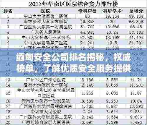 缅甸安全公司排名揭秘,权威榜单,了解优质安全服务提供者!