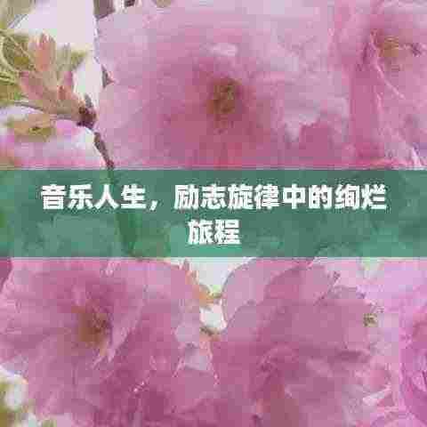 音乐人生，励志旋律中的绚烂旅程