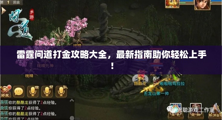 雷霆问道打金攻略大全，最新指南助你轻松上手！