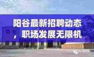 阳谷最新招聘动态，职场发展无限机遇揭秘