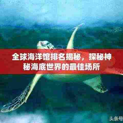 全球海洋馆排名揭秘，探秘神秘海底世界的最佳场所