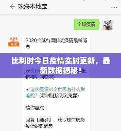 比利时今日疫情实时更新，最新数据揭秘！