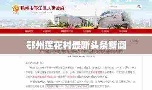 鄂州莲花村最新头条新闻