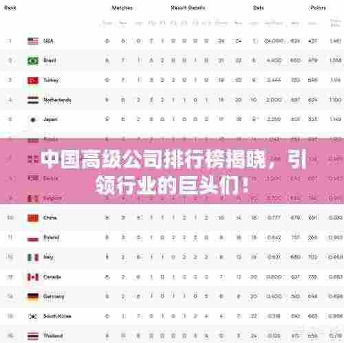 中国高级公司排行榜揭晓，引领行业的巨头们！