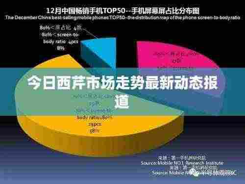 今日西芹市场走势最新动态报道