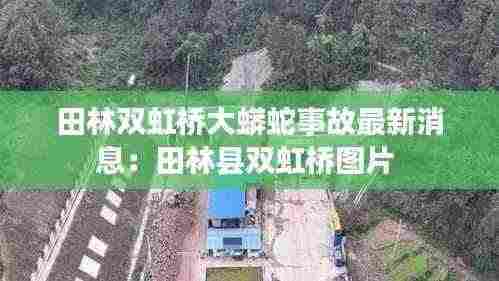 田林双虹桥大蟒蛇事故最新消息：田林县双虹桥图片 