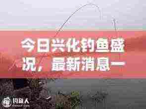 今日兴化钓鱼盛况，最新消息一网打尽