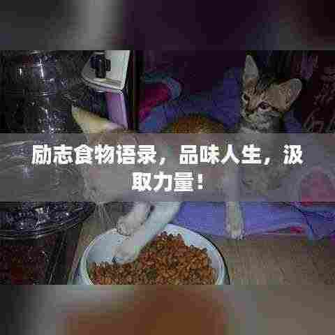 励志食物语录，品味人生，汲取力量！