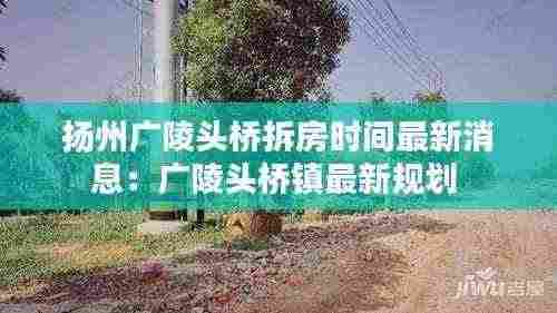 龙飞凤舞 第4页