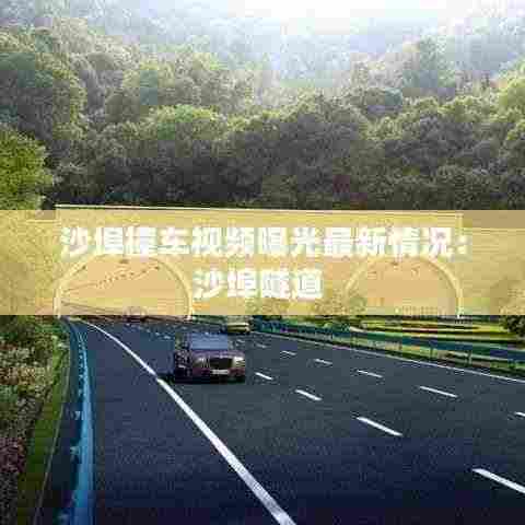 沙埠撞车视频曝光最新情况：沙埠隧道 