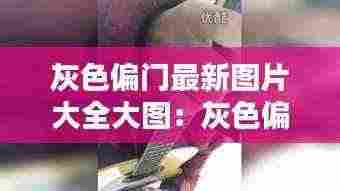 灰色偏门最新图片大全大图：灰色偏门暴利生意 