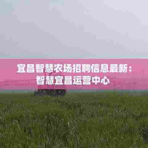 宜昌智慧农场招聘信息最新：智慧宜昌运营中心 