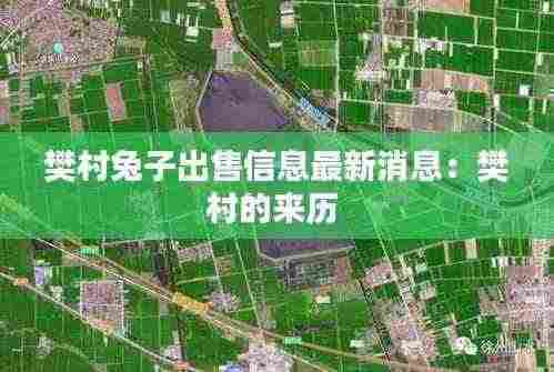 樊村兔子出售信息最新消息：樊村的来历 