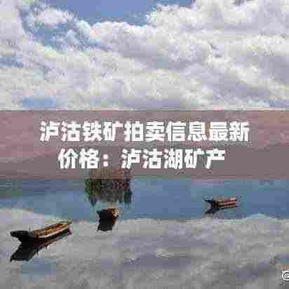 泸沽铁矿拍卖信息最新价格：泸沽湖矿产 