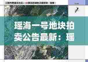 瑶海一号地块拍卖公告最新：瑶海yh202004 