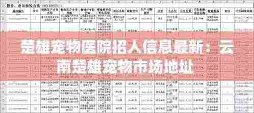 楚雄宠物医院招人信息最新：云南楚雄宠物市场地址 