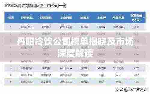 丹阳冷饮公司榜单揭晓及市场深度解读
