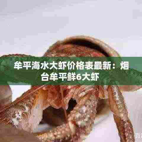 牟平海水大虾价格表最新：烟台牟平鲜6大虾 