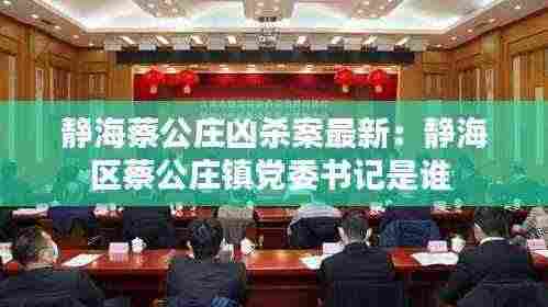 静海蔡公庄凶杀案最新：静海区蔡公庄镇党委书记是谁 