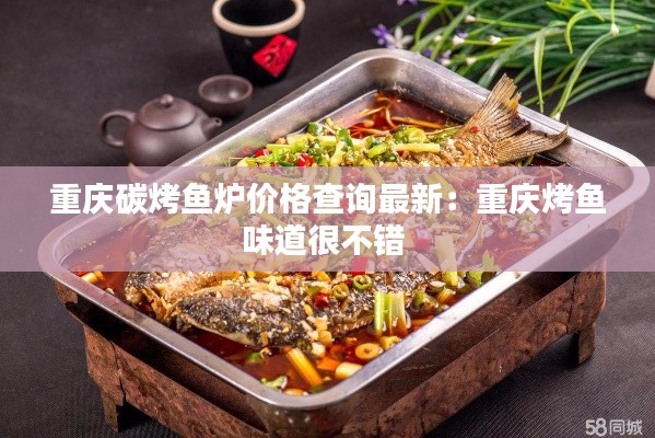 重庆碳烤鱼炉价格查询最新：重庆烤鱼味道很不错 