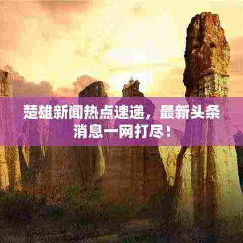 楚雄新闻热点速递，最新头条消息一网打尽！