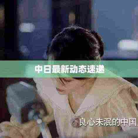 中日最新动态速递