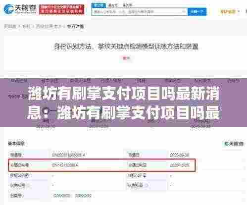 潍坊有刷掌支付项目吗最新消息：潍坊有刷掌支付项目吗最新消息查询 