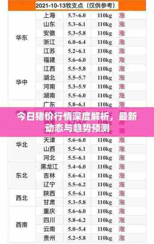 今日猪价行情深度解析，最新动态与趋势预测