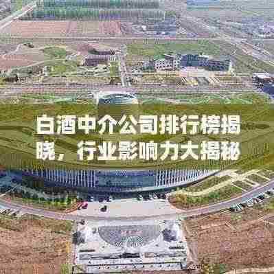 白酒中介公司排行榜揭晓，行业影响力大揭秘！