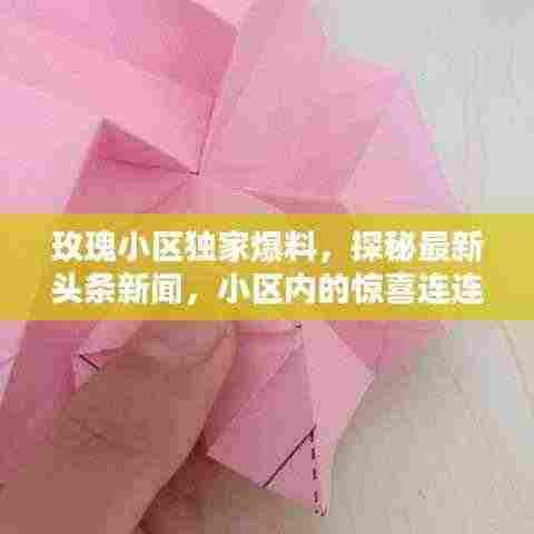 玫瑰小区独家爆料，探秘最新头条新闻，小区内的惊喜连连！