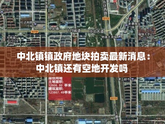 中北镇镇政府地块拍卖最新消息：中北镇还有空地开发吗 
