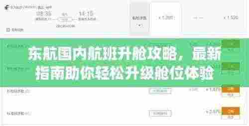 东航国内航班升舱攻略，最新指南助你轻松升级舱位体验