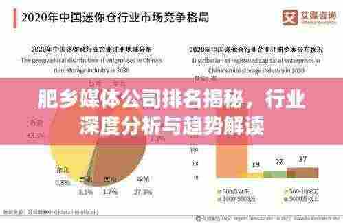 肥乡媒体公司排名揭秘，行业深度分析与趋势解读