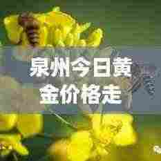 泉州今日黄金价格走势及分析，最新报价与市场因素深度解读