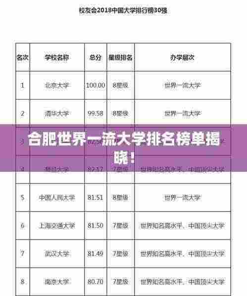 合肥世界一流大学排名榜单揭晓！