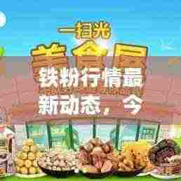 铁粉行情最新动态，今日价格分析与趋势预测