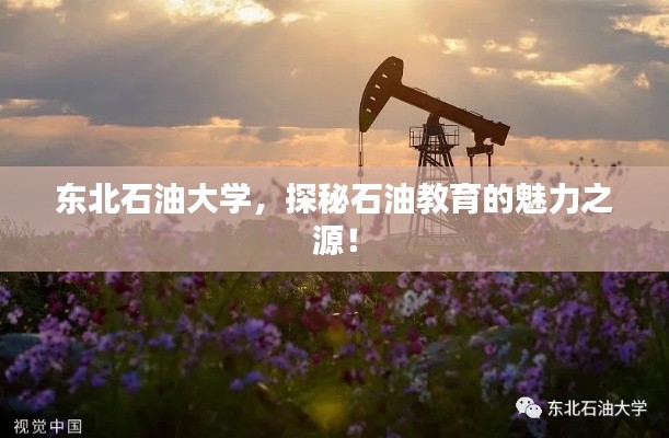 东北石油大学，探秘石油教育的魅力之源！