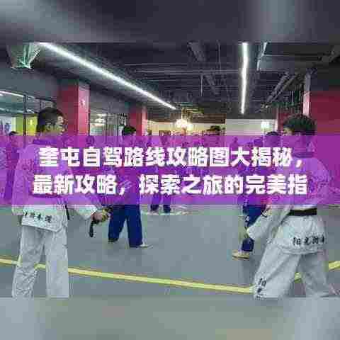 奎屯自驾路线攻略图大揭秘，最新攻略，探索之旅的完美指南